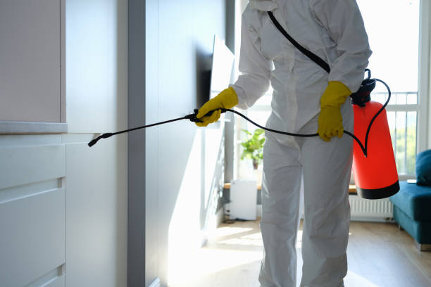 Best Residential Mold Remediation in Union City, GA