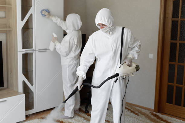 Best Post-Flood Mold Remediation in Union City, GA