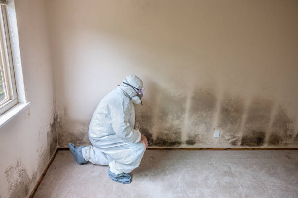 Best Industrial Mold Remediation in Union City, GA