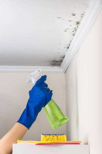 Best Bathroom Mold Remediation in Union City, GA